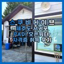 스쿠비 | 제주 스쿠버다이빙 PADI 오픈워터 자격증 1박2일 과정 취득 후기 스쿠비다이브