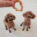 말랑이발소 이미지