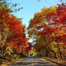 수양쉼터(섬진강~영산강 연결 자전거길) | 구례 이름의 뜻은?, 제철 음식, 꼭 가야 할 명소