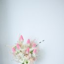 하우스오브플레르