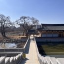 연화정도서관 화장실 이미지