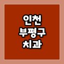 조선호치과의원 티스토리