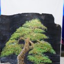 도원도서관 이미지