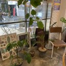 플렌터(Planter) 이미지