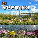 한방엑스포공원 | 제천 본초다담 한방엑스포공원 웰니스인충북 힐링여행