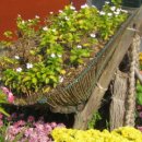 솔로몬약국 이미지