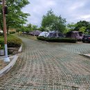 동강전망자연휴양림 이미지