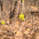 옥계2공단로-18 이미지