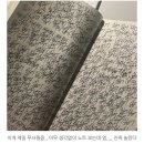 (주)이씨엠디강원대병원 | 노랗게 노랗게 물들었네