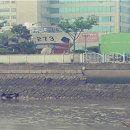 주식회사호안