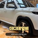 부산 명지 세차 더디테일비 명지점, 디테일링 가격 및 후기