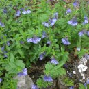 영랑호수공원 이미지