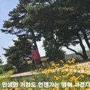 칠순 아내의 원주 여행 영상일기(2026.7.10, 원주시민영상 공모전 응모작) 이미지