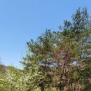 숲속오두막 이미지