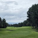 크라운CC 이미지