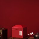 이정재한의원 | 제품명 : 수壽 브랜드)] 슈돌에 나온 빨간 보약? 이정재공진단 직접 알아본 프리미엄 처방 후기