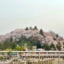 남대천강릉교밑 이미지