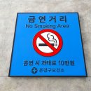 주식회사 로디스