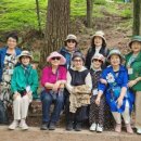 박경리뮤지엄 이미지