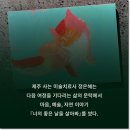 책으로 떠나는 세계 나라 놀이 이미지