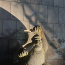 타코이야기 이미지