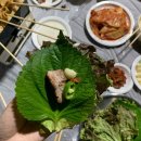 율포오토캠핑장 | [보성율포오토캠핑장]보성캠핑장 다향8호 후기 카라반 캠핑먹방 보성율포해수욕장