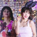 핑크바니 이미지