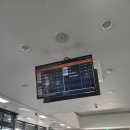 성산LPG충전소 | 제주도 렌트카 최저가 덕분에 이렇게 자유로울 줄은