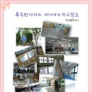 매일에스디