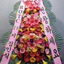 댄싱컵에이스청계