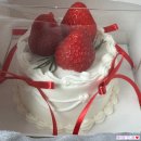펫츄츄 | 내돈내산 우츄츄 잠실 강아지케이크, 송파 9살 생일 스냅까지 찐만족 후기