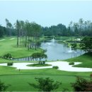 CC 골프존 이미지