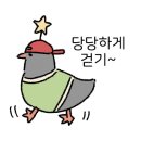 양평꿈의글램핑 이미지