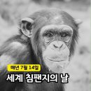 세계 침팬지의 날 이미지