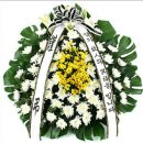 도고면로 이미지