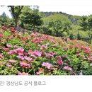 함박공원 이미지