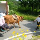 달구지마을 이미지