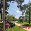 가온마을3단지 아파트 | 세종시 다정동 가온마을 3단지 아파트 소개