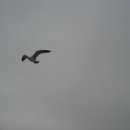 가덕도 등대 이미지