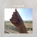 라라네일살롱 - 안양시 동안구 경수대로 555 | 라라네일살롱