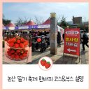 논산 딸기축제 한바퀴 코스와 각 부스 설명(+꿀팁)