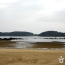 무창포솔원캠핑장 이미지