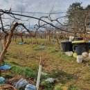 중원농장 이미지