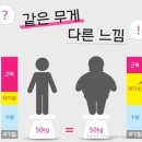 정글짐 서사라점 네이버블로그