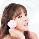 홍샵