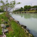 부동산씨티뱅크공인중개사사무소 이미지