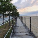 하조대해수욕장 화장실 2 이미지