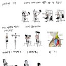이매로 | 이매동PT 익스홀릭 가넷 이매점 | 송기준트레이너와 맞춤 PT 솔직 후기