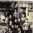 문화초교 이미지