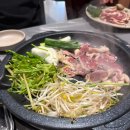 덕본집